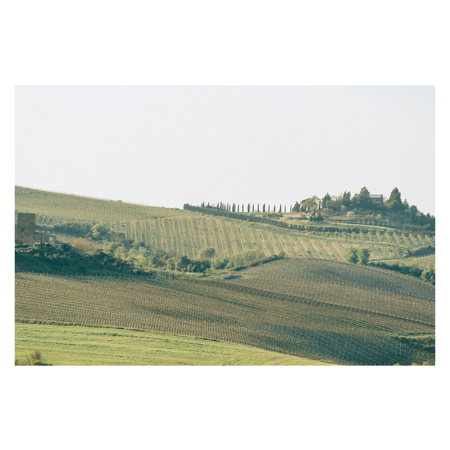 wall-art-print-canvas-poster-framed-Under the Tuscan Sun, Tuscany, Italy , By Leggera Studio-GIOIA-WALL-ART