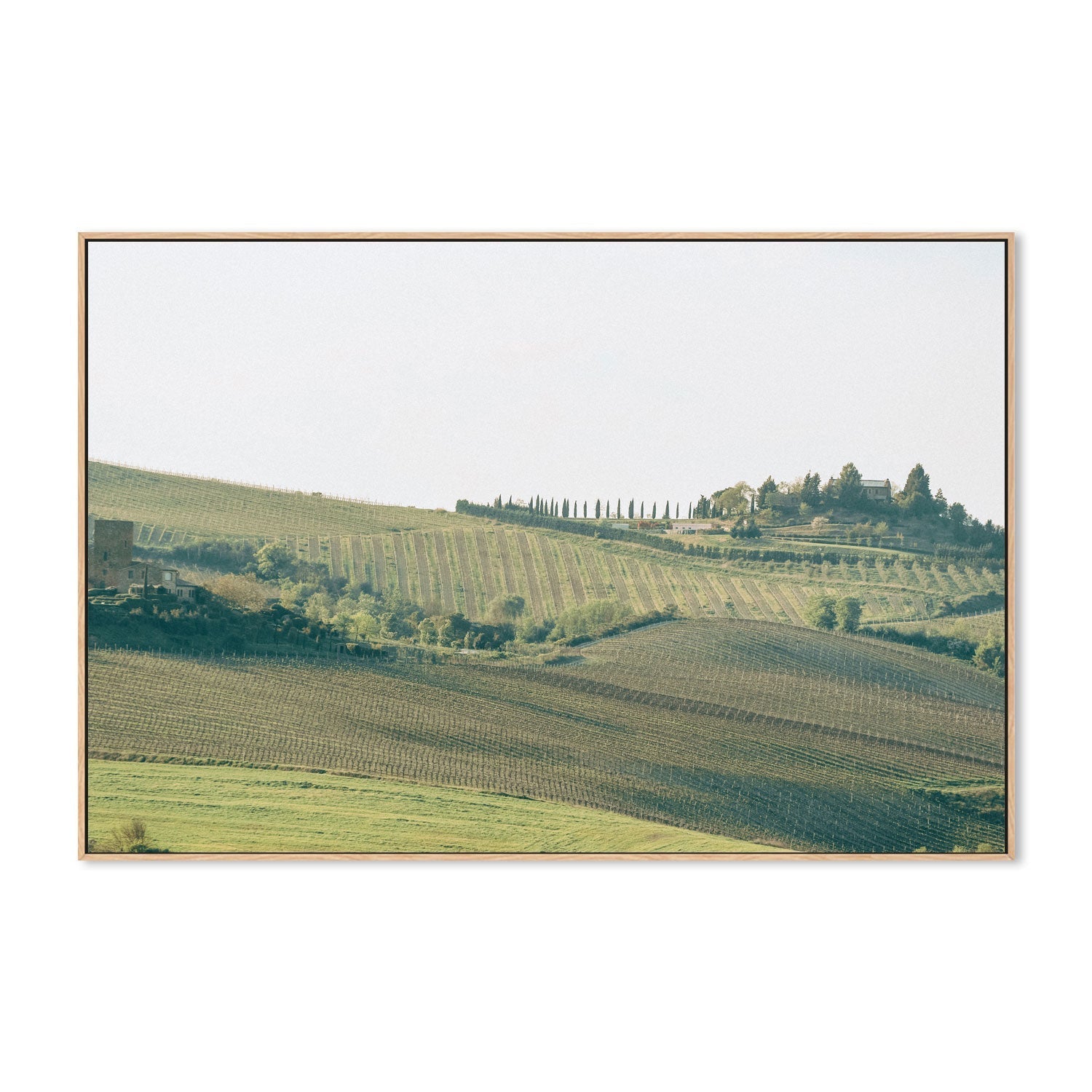 wall-art-print-canvas-poster-framed-Under the Tuscan Sun, Tuscany, Italy , By Leggera Studio-GIOIA-WALL-ART