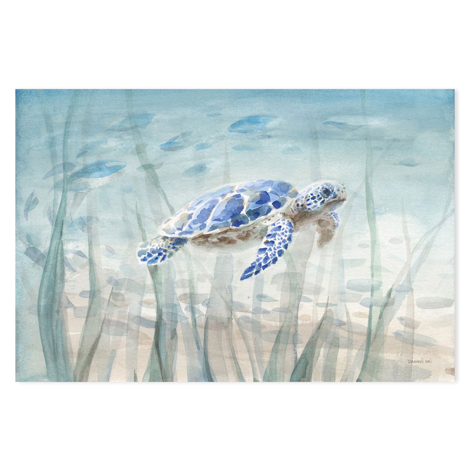 wall-art-print-canvas-poster-framed-Undersea Turtle-by-Danhui Nai-Gioia Wall Art