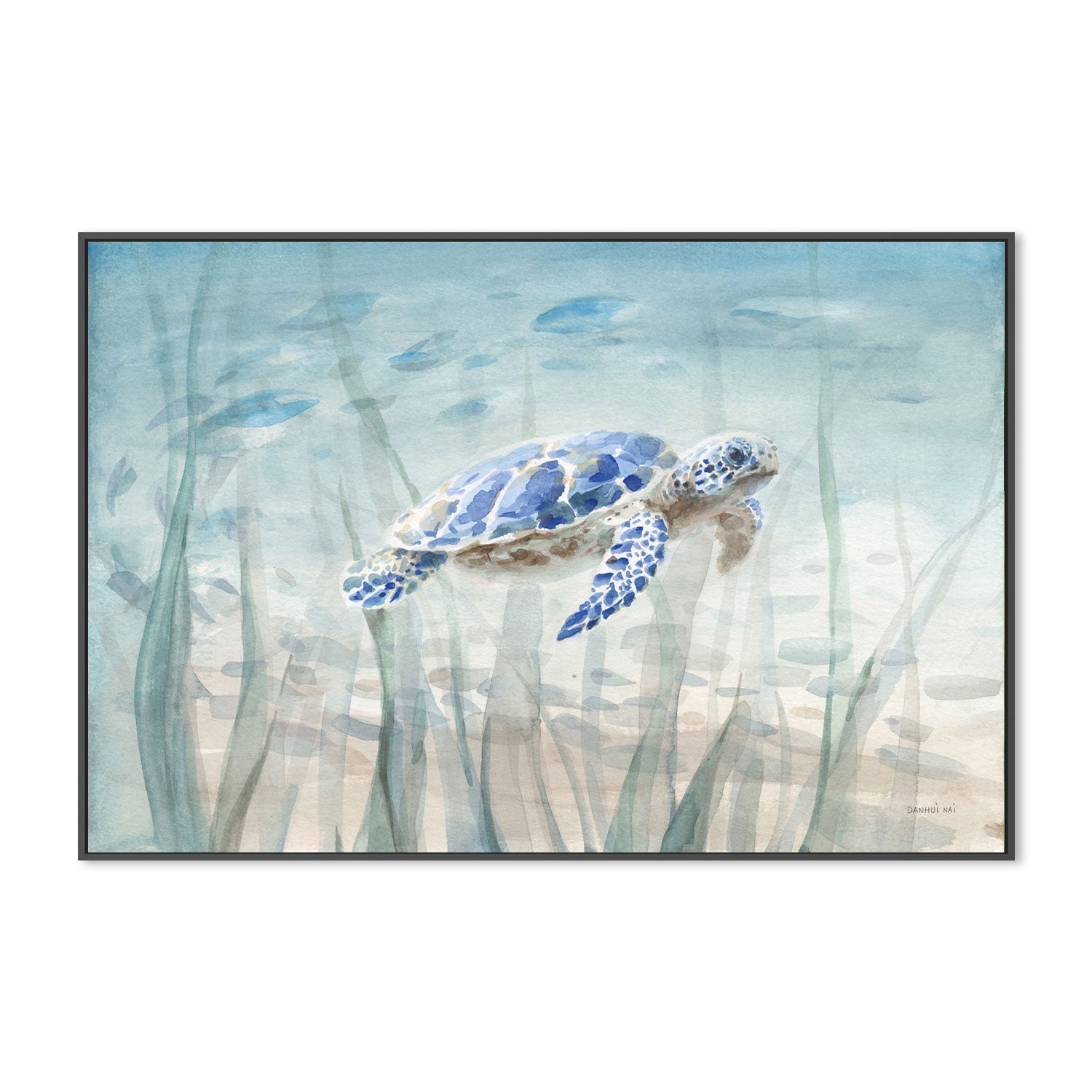 wall-art-print-canvas-poster-framed-Undersea Turtle-by-Danhui Nai-Gioia Wall Art