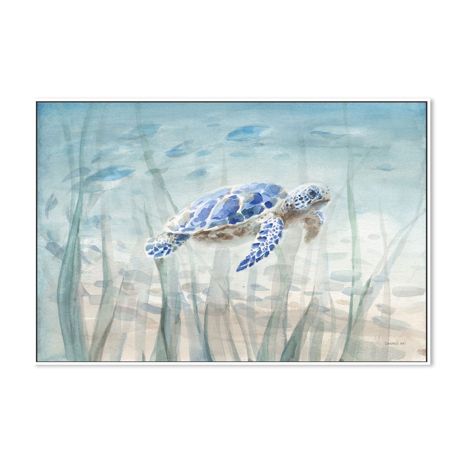 wall-art-print-canvas-poster-framed-Undersea Turtle-by-Danhui Nai-Gioia Wall Art