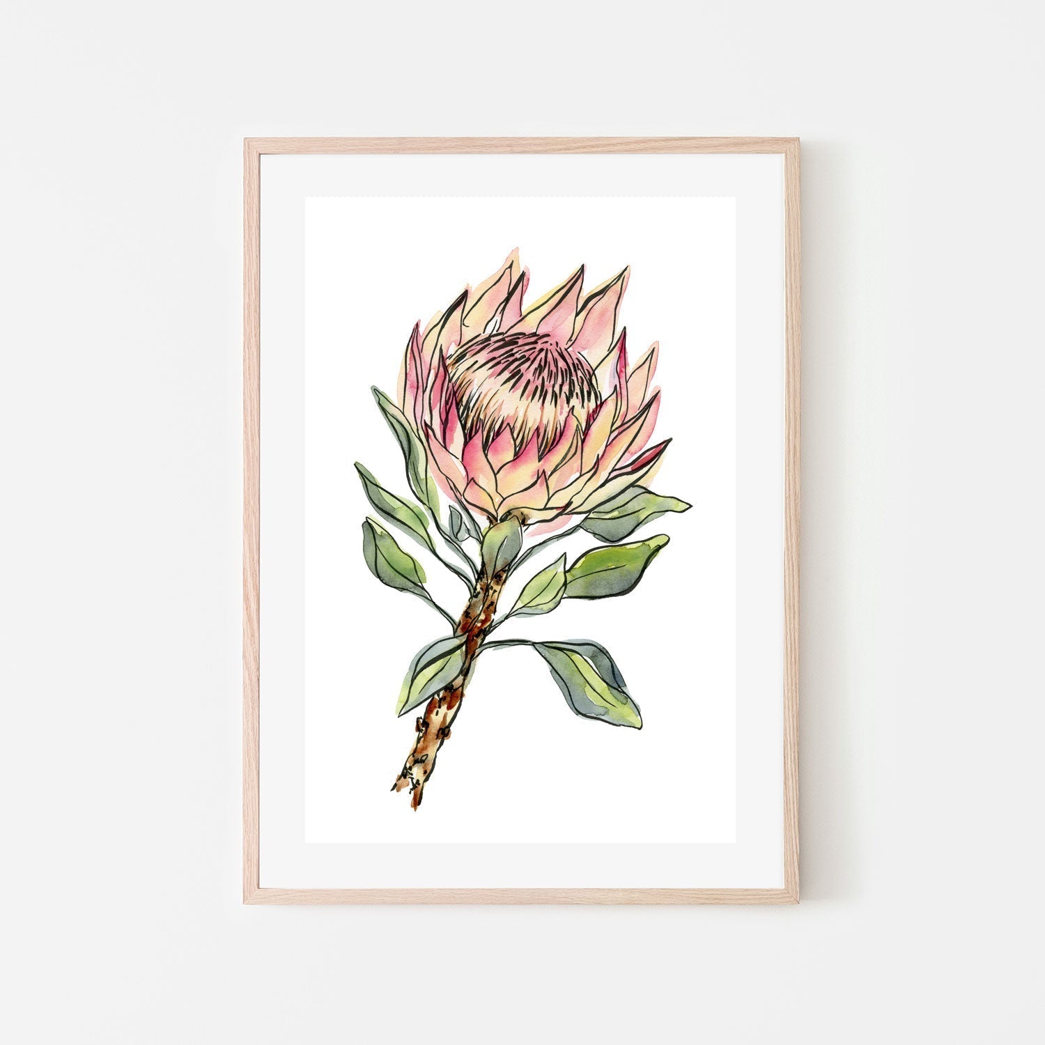 wall-art-print-canvas-poster-framed-Watercolour Protea , By Jessie Mitchelson-GIOIA-WALL-ART