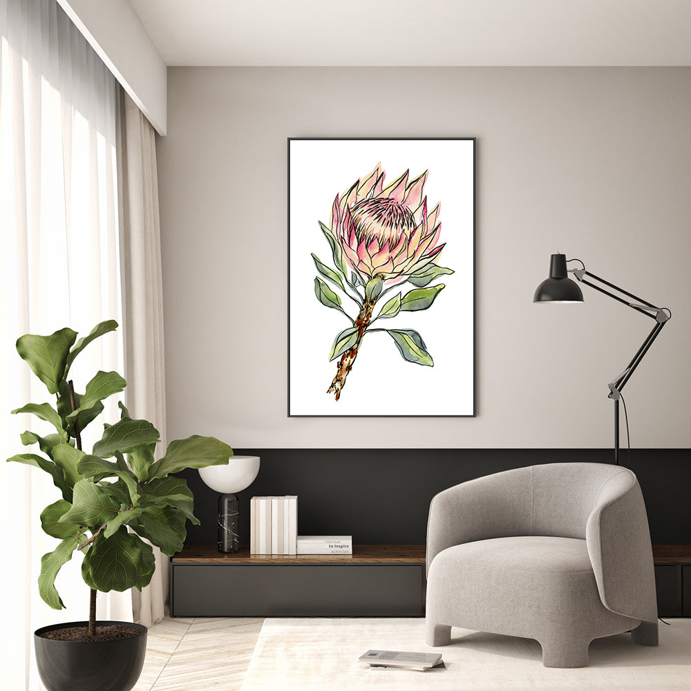 wall-art-print-canvas-poster-framed-Watercolour Protea , By Jessie Mitchelson-GIOIA-WALL-ART