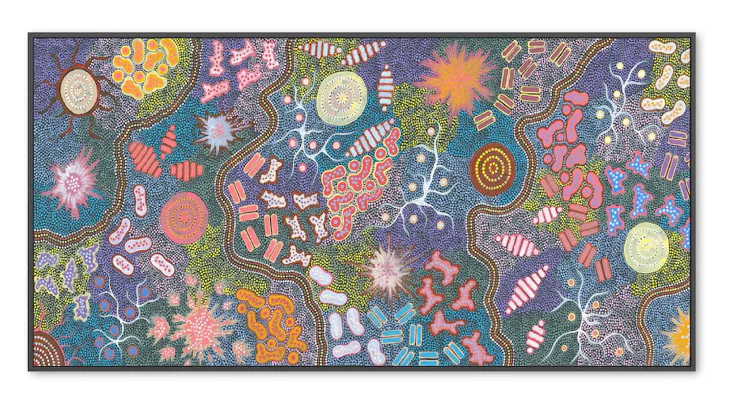 wall-art-print-canvas-poster-framed-WATERHOLE BUSH TUCKER DREAMING, STYLE B, BY AZEZA POSSUM BLACK FRAMED CANVAS 50x100cm-1