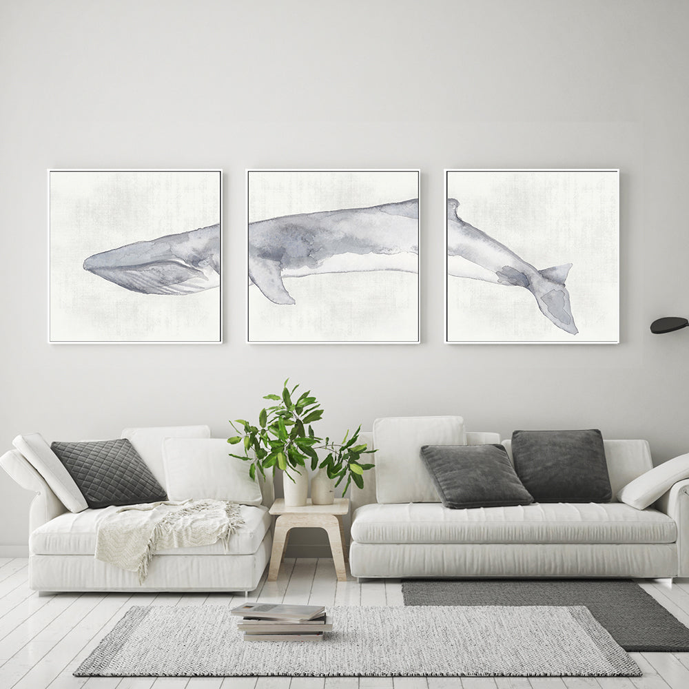 wall-art-print-canvas-poster-framed-Whale, Set Of 3 , By Emily Wood , By Emily Wood-GIOIA-WALL-ART