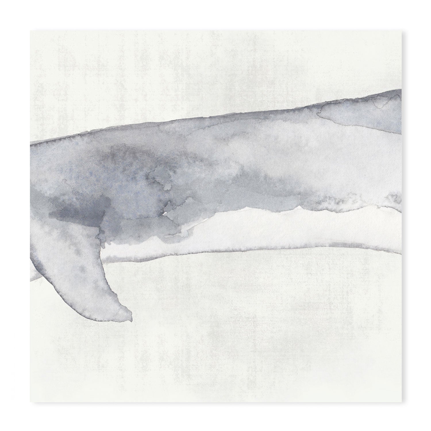 wall-art-print-canvas-poster-framed-Whale, Set Of 3 , By Emily Wood , By Emily Wood-GIOIA-WALL-ART