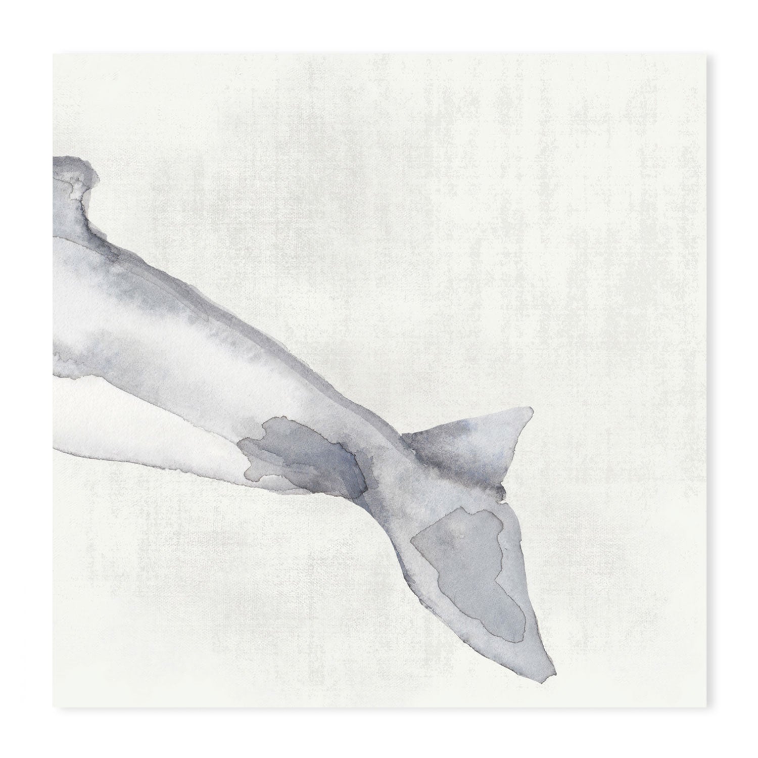 wall-art-print-canvas-poster-framed-Whale, Set Of 3 , By Emily Wood , By Emily Wood-GIOIA-WALL-ART