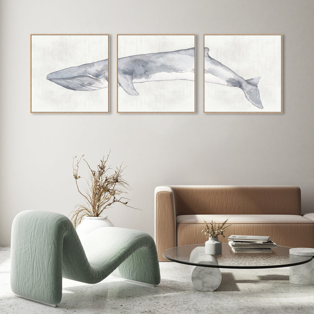 wall-art-print-canvas-poster-framed-Whale, Set Of 3 , By Emily Wood , By Emily Wood-GIOIA-WALL-ART