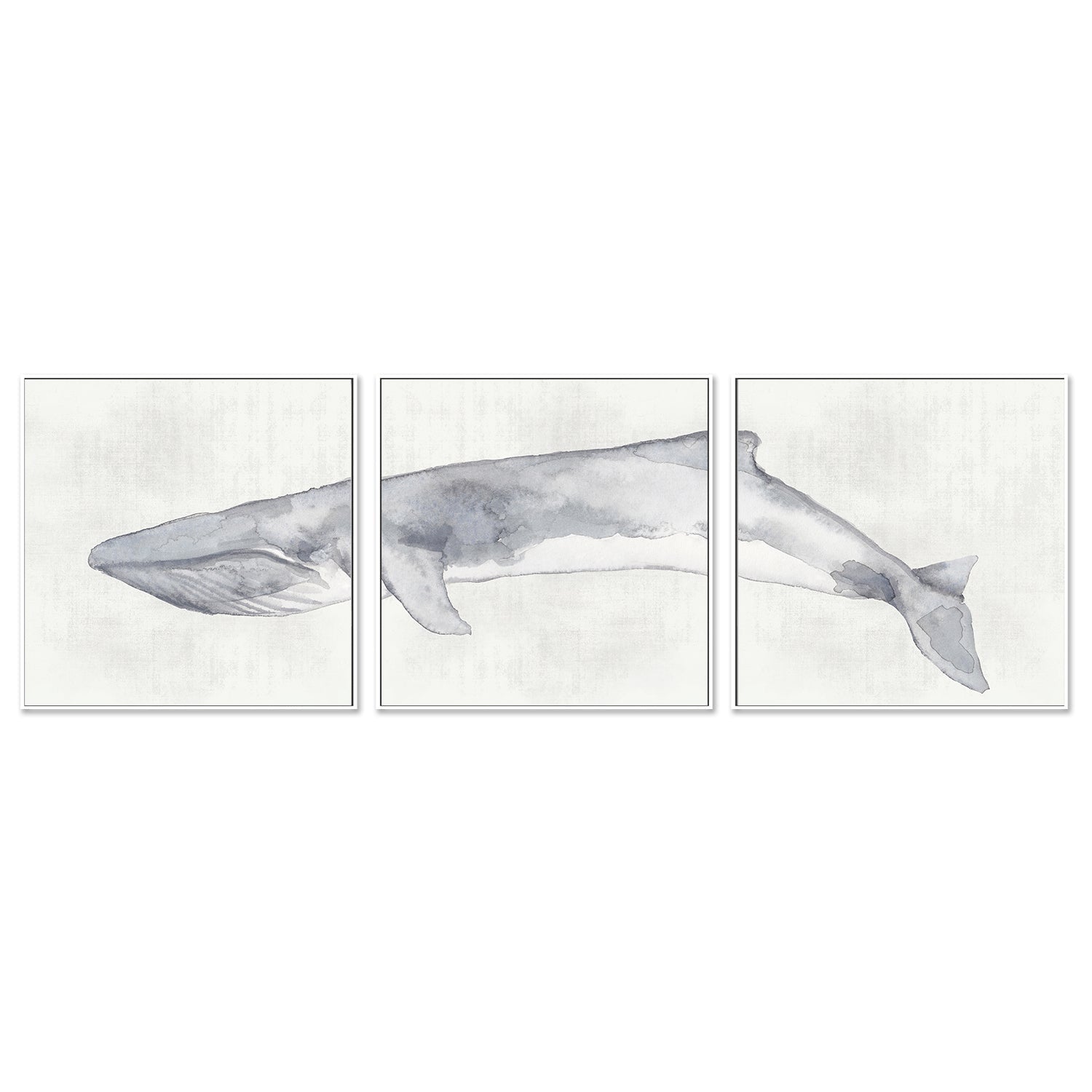 wall-art-print-canvas-poster-framed-Whale, Set Of 3 , By Emily Wood , By Emily Wood-GIOIA-WALL-ART