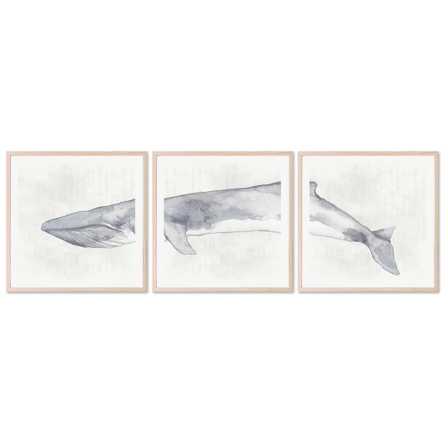 wall-art-print-canvas-poster-framed-Whale, Set Of 3 , By Emily Wood , By Emily Wood-GIOIA-WALL-ART