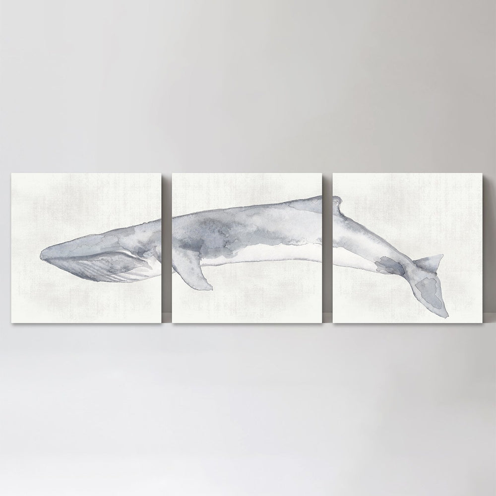 wall-art-print-canvas-poster-framed-Whale, Set Of 3 , By Emily Wood , By Emily Wood-GIOIA-WALL-ART