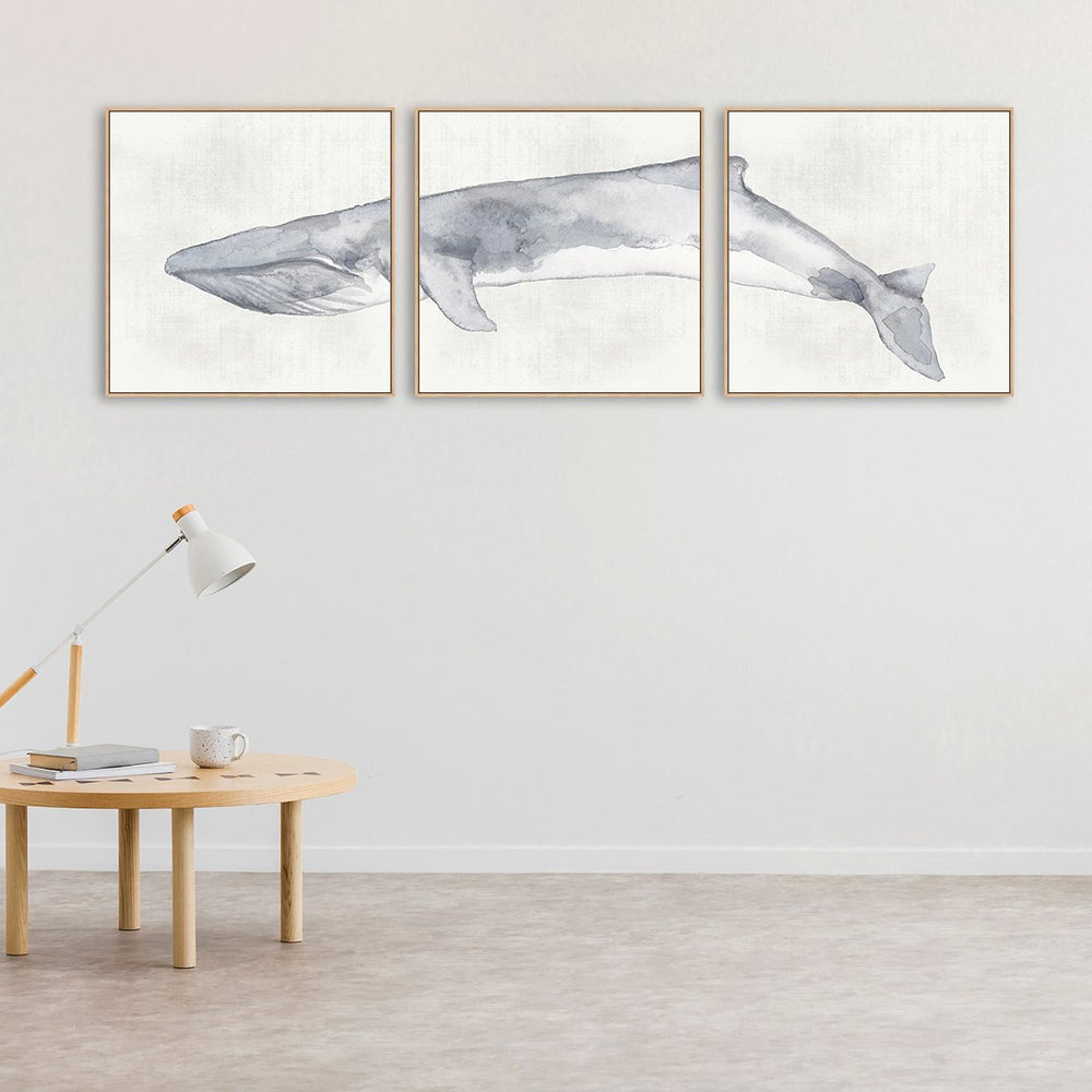 wall-art-print-canvas-poster-framed-Whale, Set Of 3 , By Emily Wood , By Emily Wood-GIOIA-WALL-ART