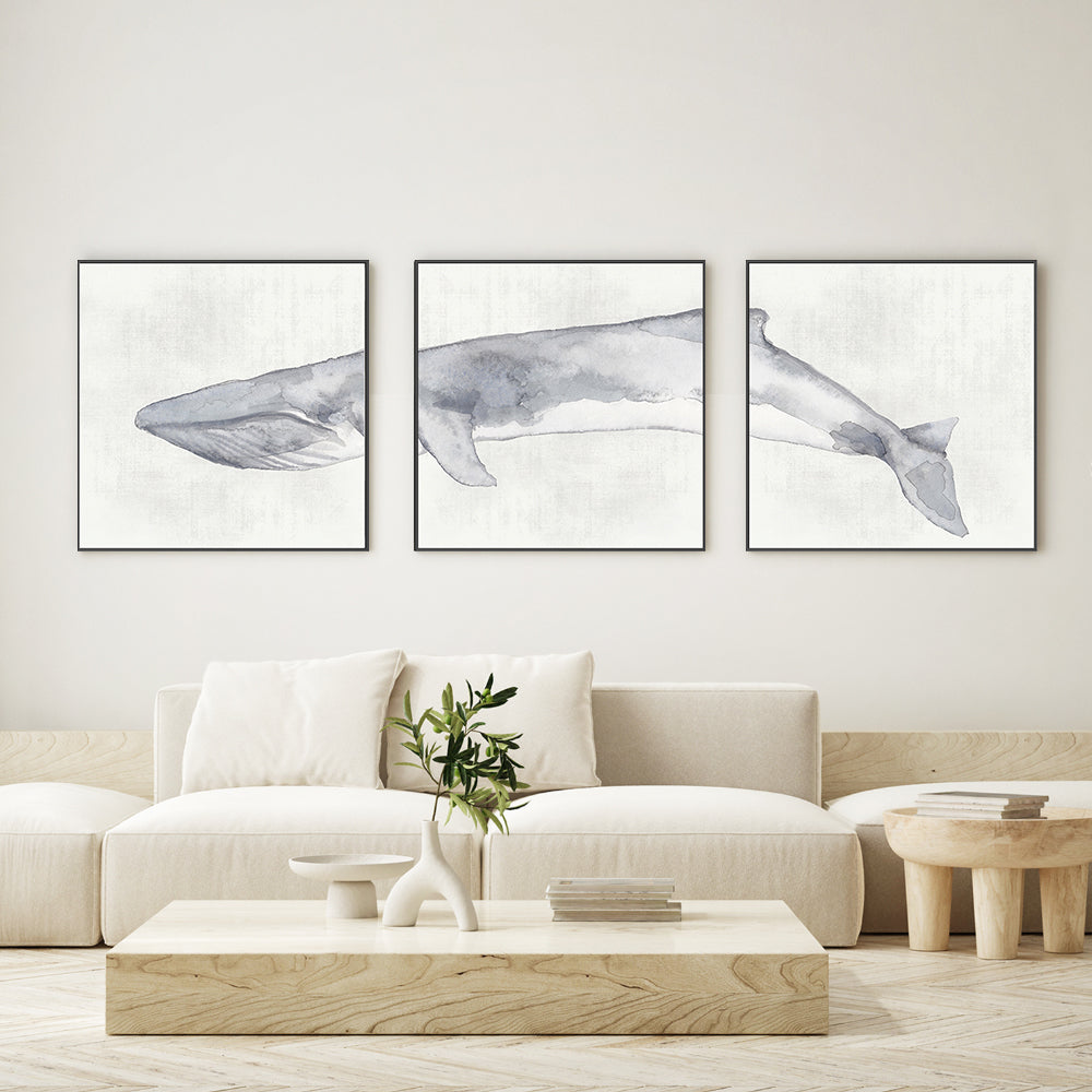 wall-art-print-canvas-poster-framed-Whale, Set Of 3 , By Emily Wood , By Emily Wood-GIOIA-WALL-ART