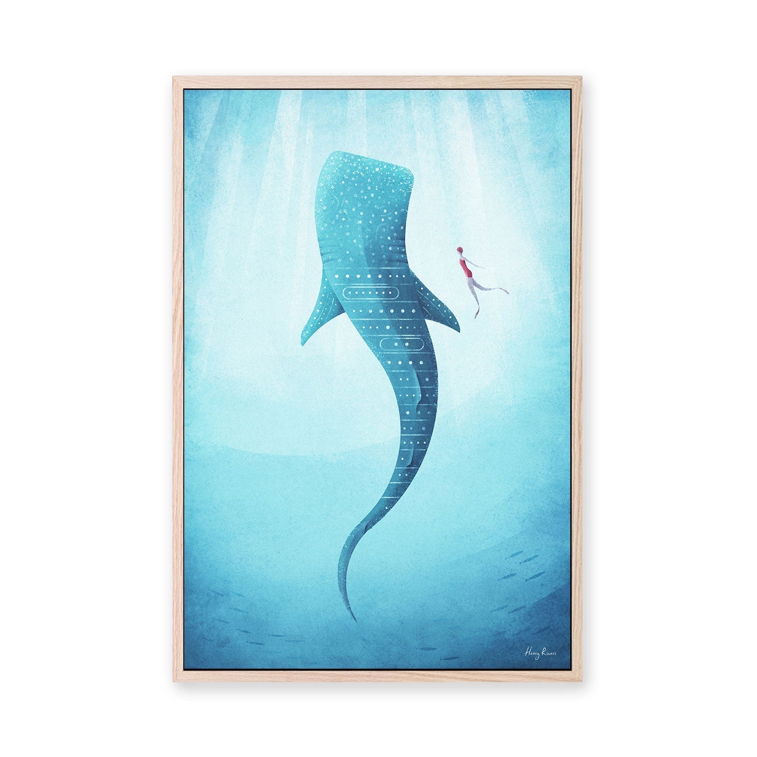 wall-art-print-canvas-poster-framed-Whale Shark , By Henry Rivers-GIOIA-WALL-ART