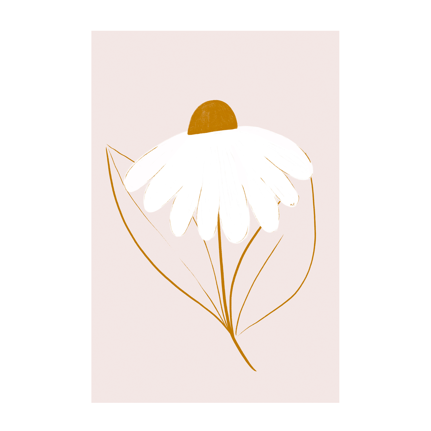 wall-art-print-canvas-poster-framed-White Daisyjpg , By Menina Lisboa-1