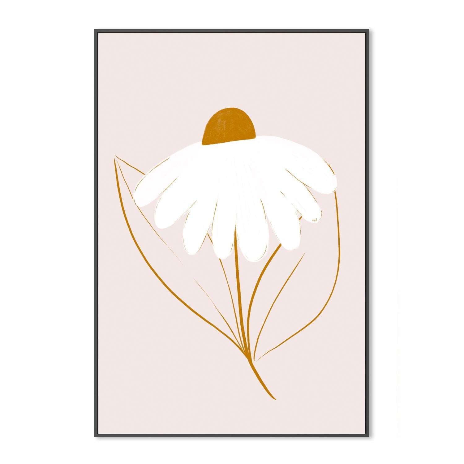 wall-art-print-canvas-poster-framed-White Daisyjpg , By Menina Lisboa-3