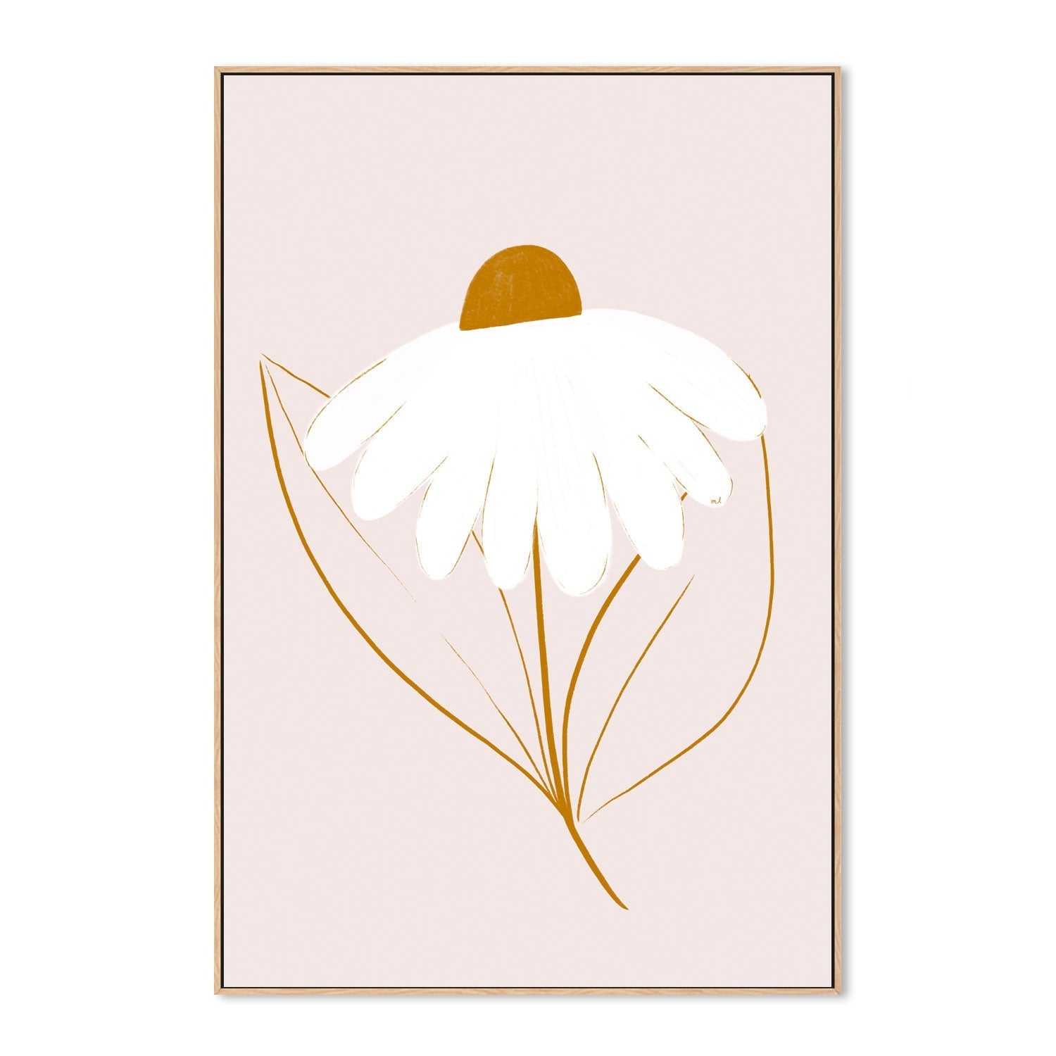 wall-art-print-canvas-poster-framed-White Daisyjpg , By Menina Lisboa-4