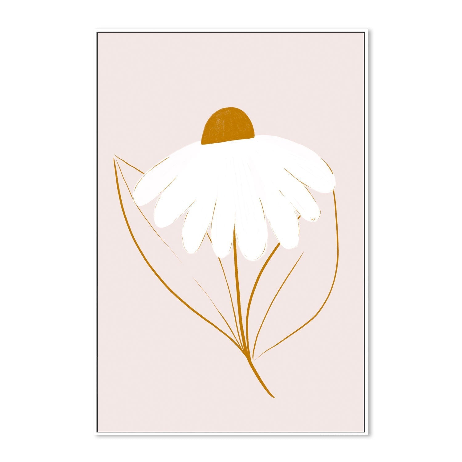 wall-art-print-canvas-poster-framed-White Daisyjpg , By Menina Lisboa-5