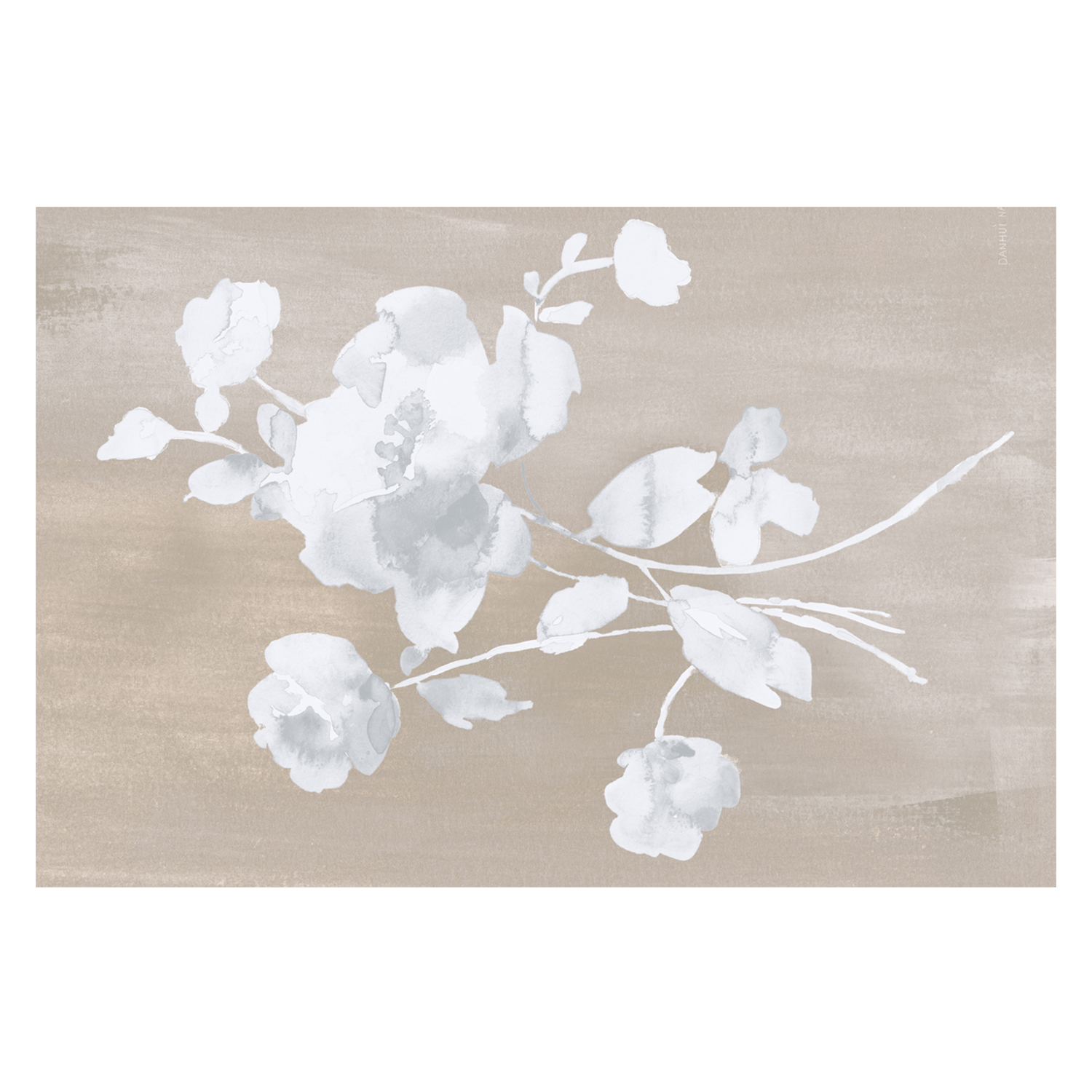 wall-art-print-canvas-poster-framed-White Florals of Summer , By Danhui Nai-1