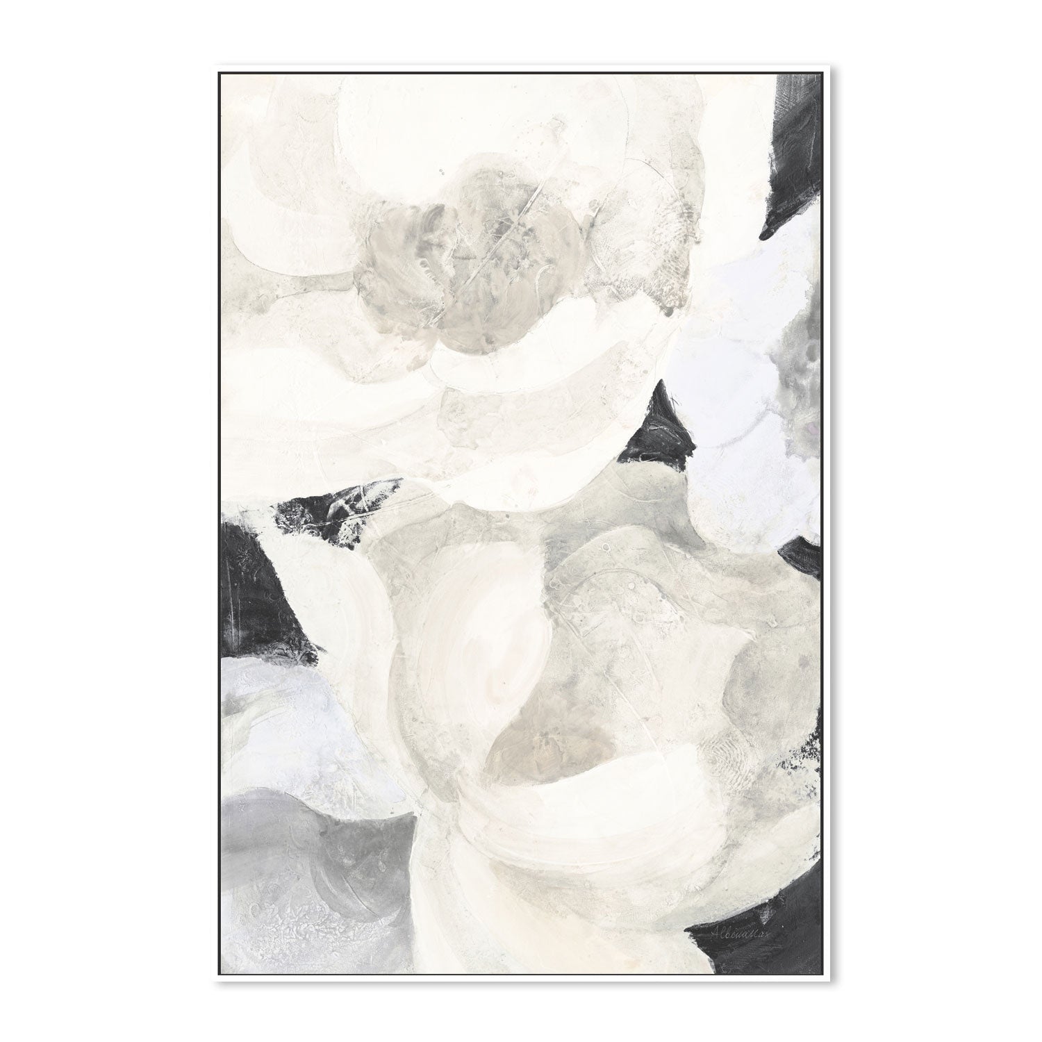 wall-art-print-canvas-poster-framed-White Flowers On Black , By Albena Hristova-5