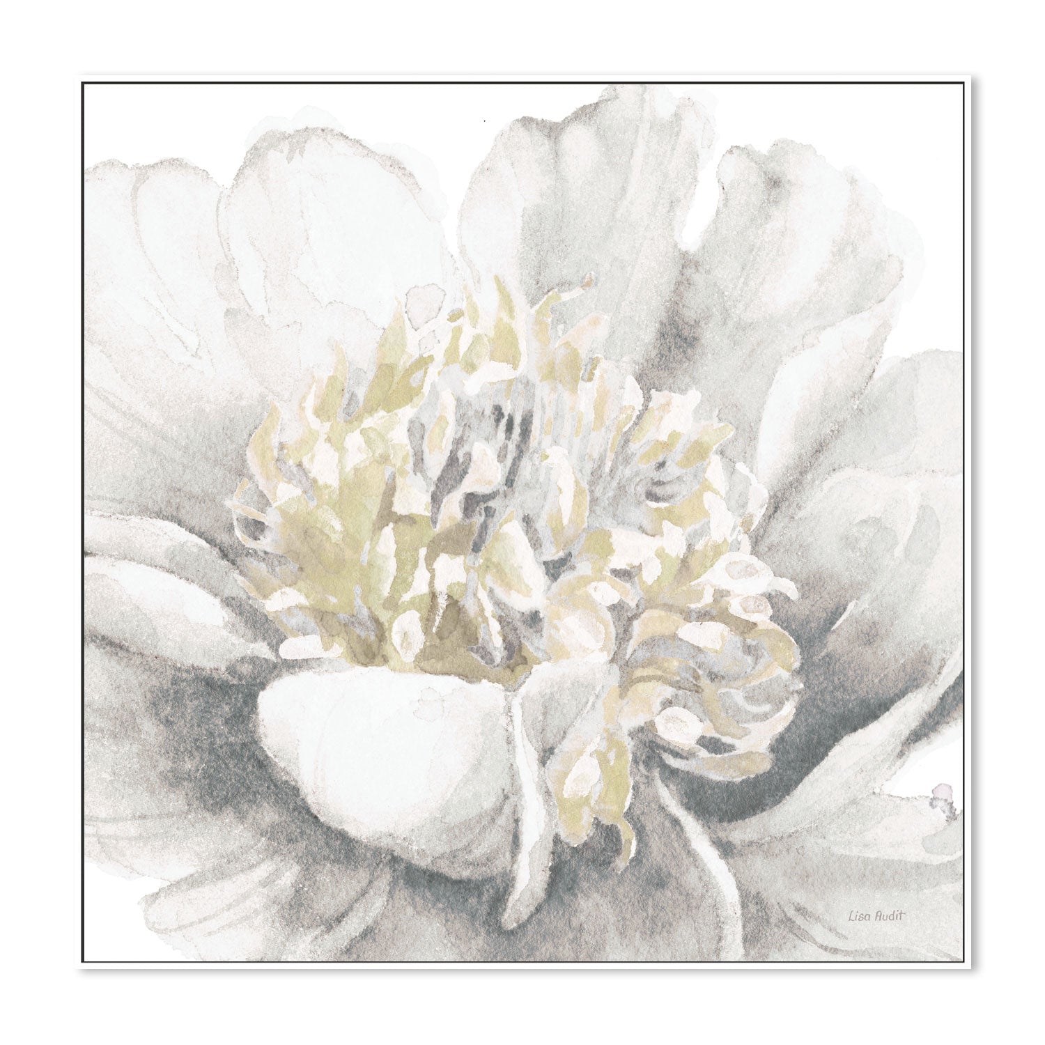 wall-art-print-canvas-poster-framed-White Garden , By Lisa Audit-GIOIA-WALL-ART