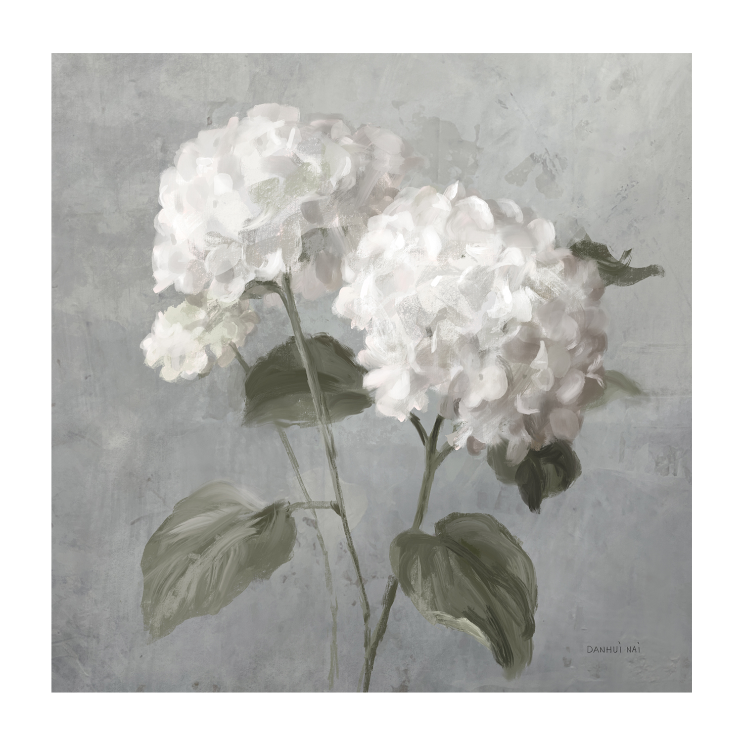 wall-art-print-canvas-poster-framed-White Hydrangeas , By Danhui Nai-1