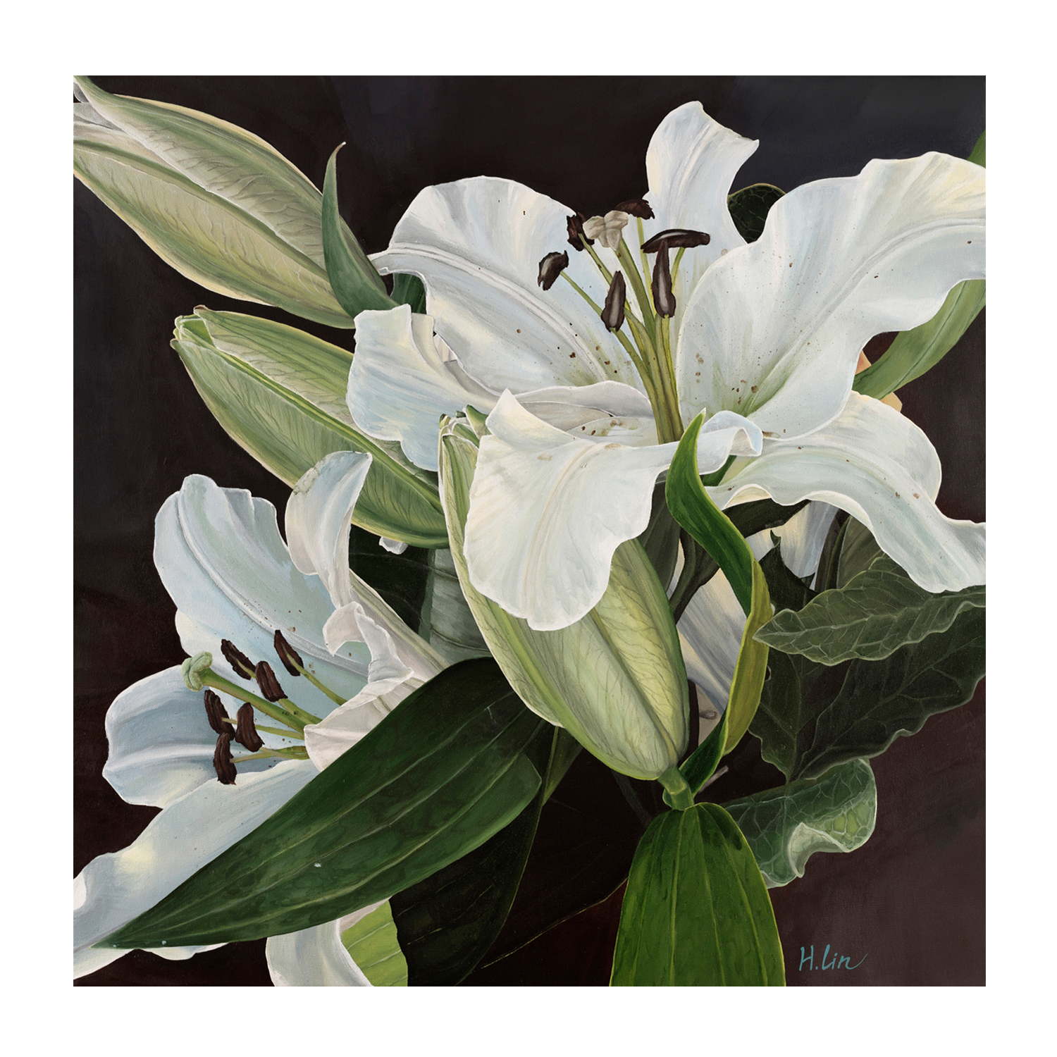 wall-art-print-canvas-poster-framed-White Lilies , By Hsin Lin-GIOIA-WALL-ART