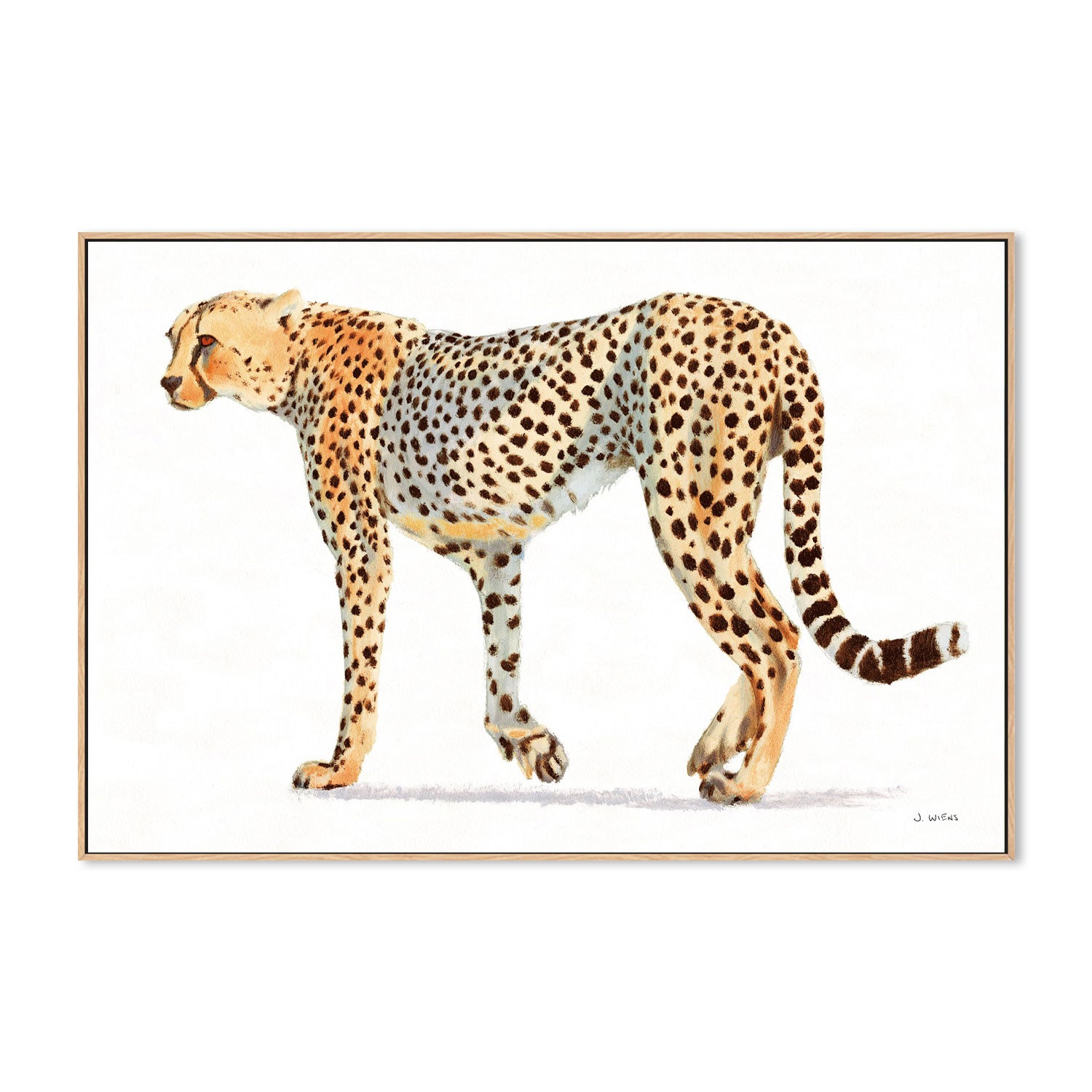 wall-art-print-canvas-poster-framed-Wild and Free Bold-by-James Wiens-Gioia Wall Art