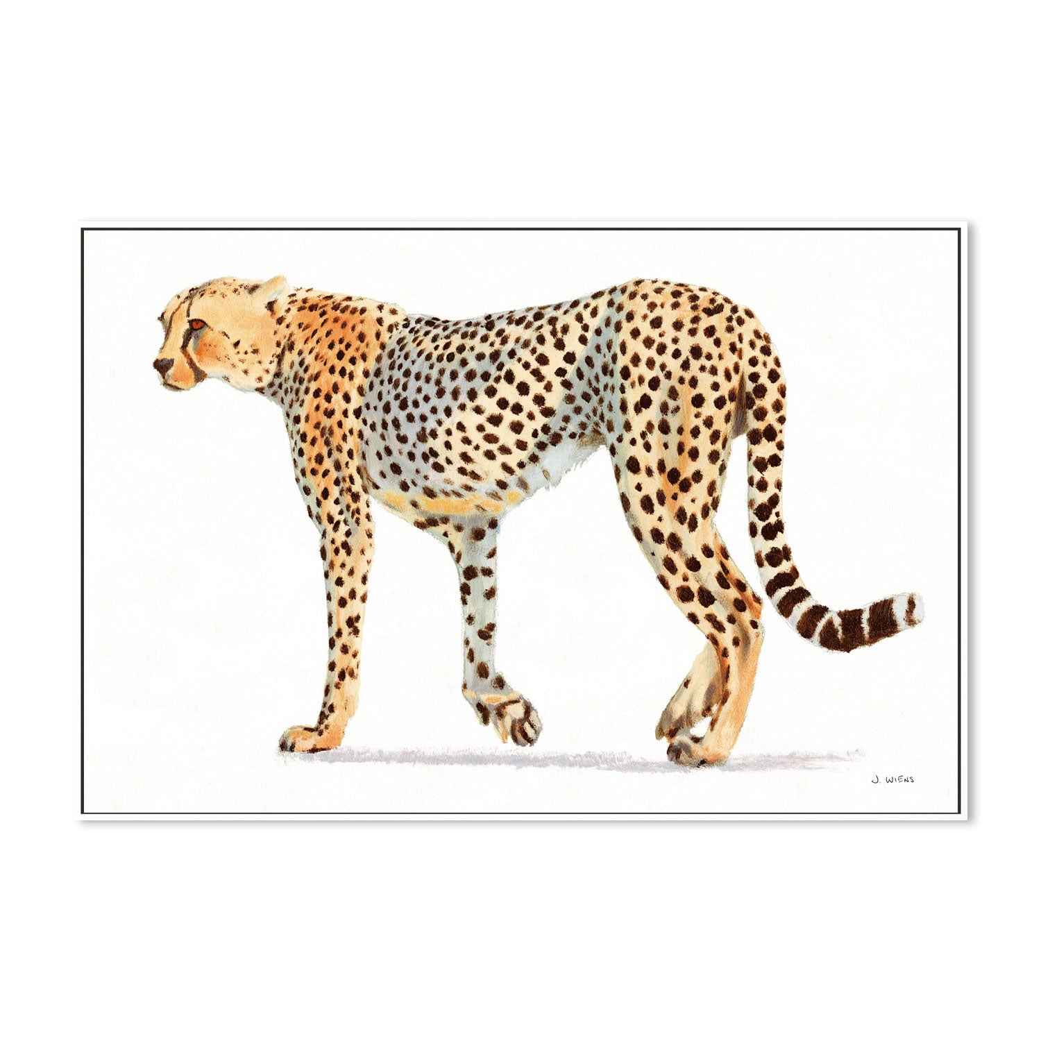 wall-art-print-canvas-poster-framed-Wild and Free Bold-by-James Wiens-Gioia Wall Art