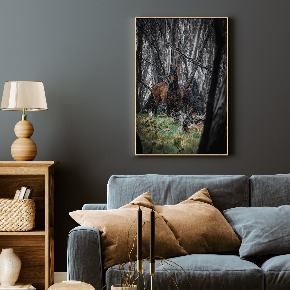 wall-art-print-canvas-poster-framed-Wild Brumbies, Snowy Mountains , By Maddison Harris-7