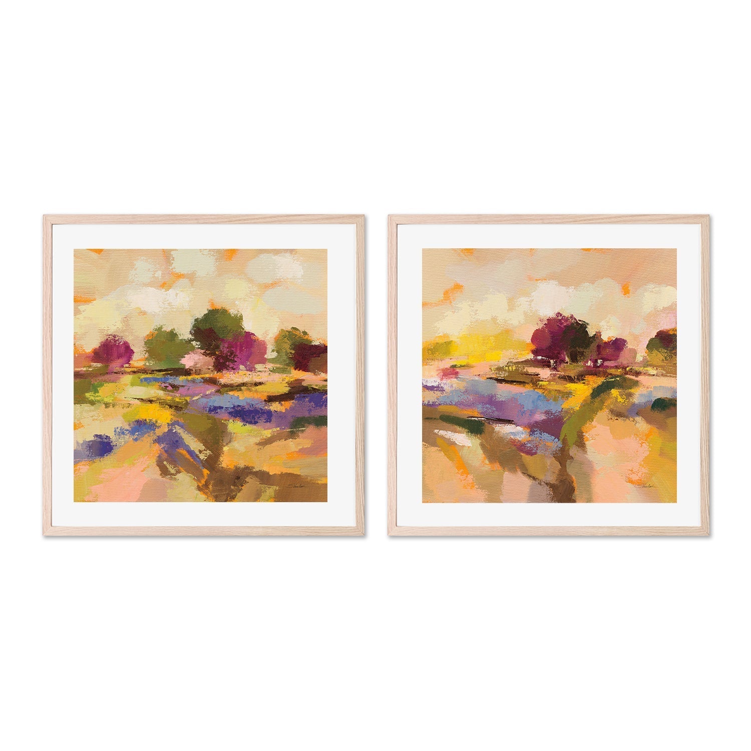 wall-art-print-canvas-poster-framed-Wildflower Bloom, Style A & B, Set Of 2 , By Silvia Vassileva-6