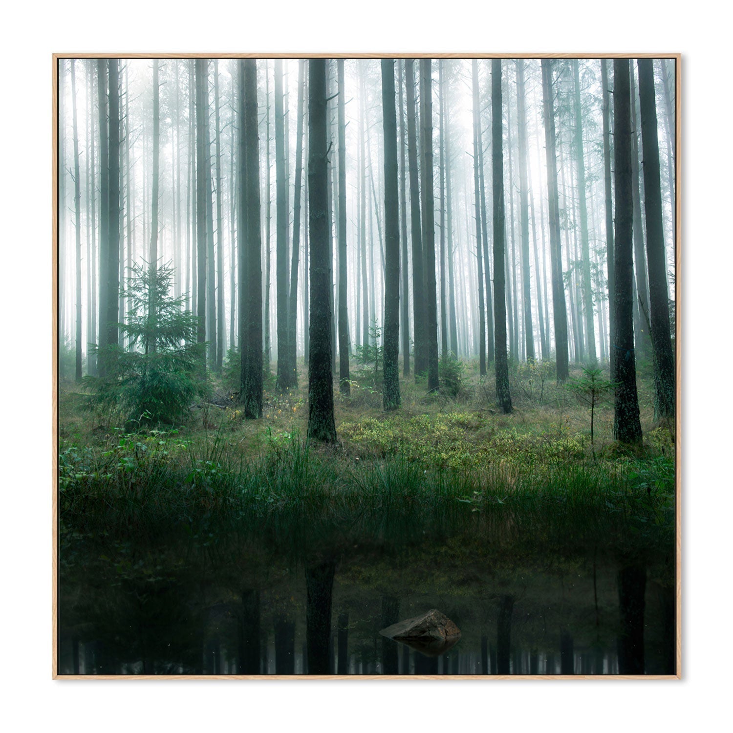 wall-art-print-canvas-poster-framed-Winter Forest , By Christian Lindsten-GIOIA-WALL-ART