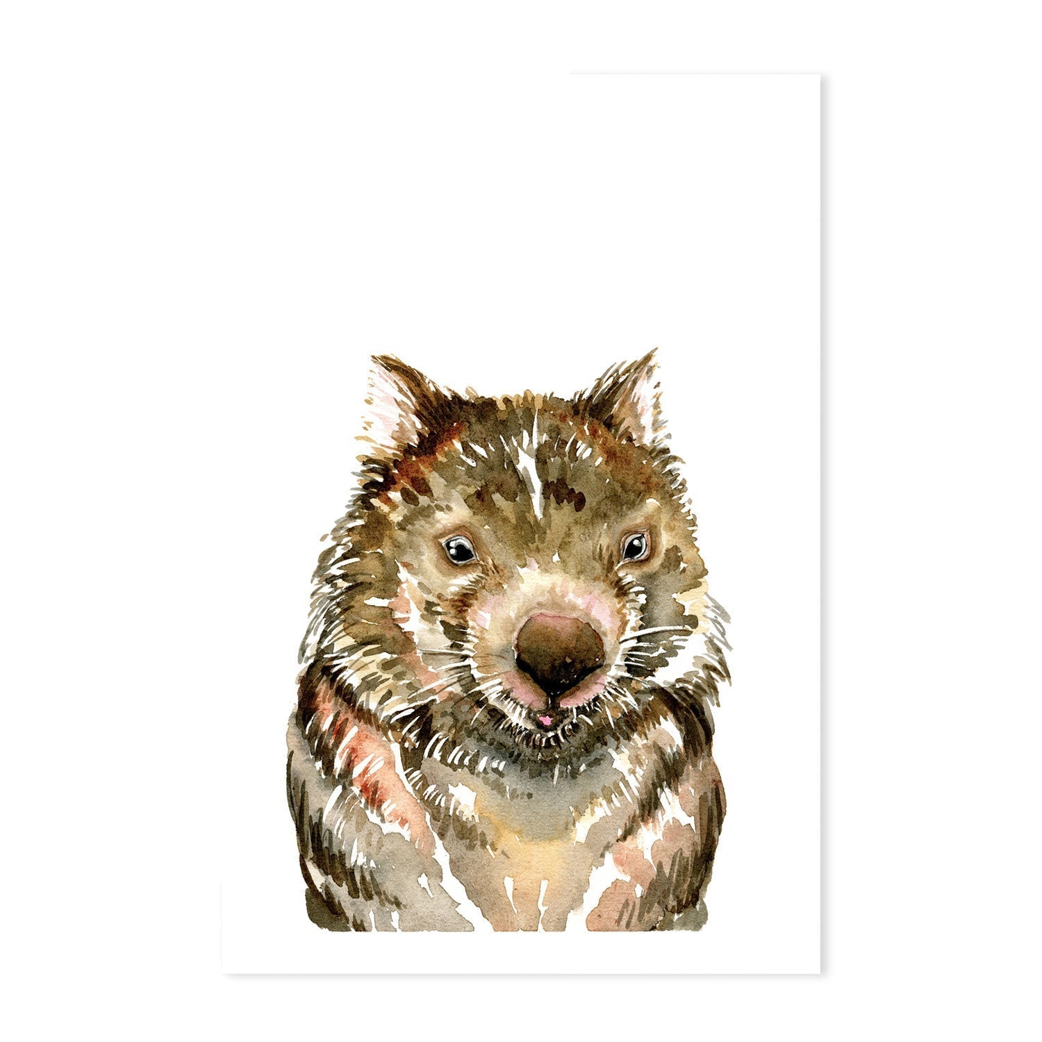 wall-art-print-canvas-poster-framed-Wombat , By Jessie Mitchelson-GIOIA-WALL-ART